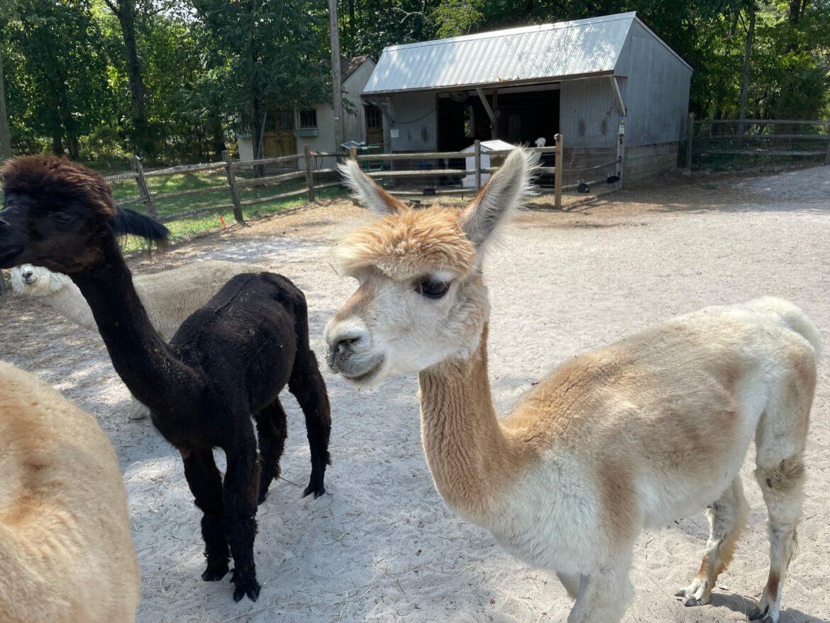 TheSpot_MorningGlori_1-min