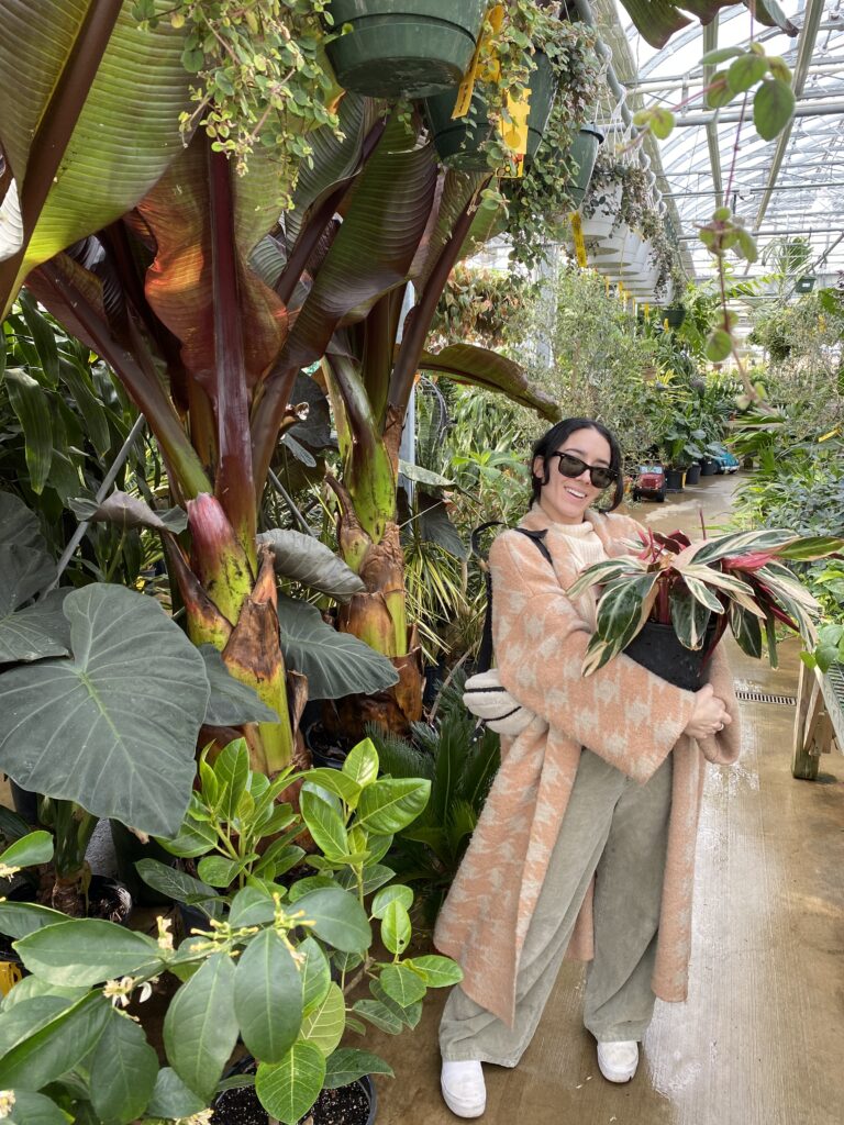 Alexa choosing the right plants
