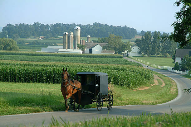 Amish Country Lancaster PA

Day Trip
