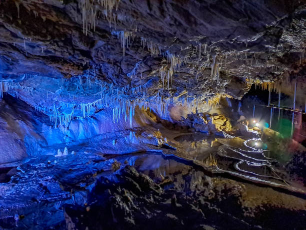 Crystal Cave Kutztown, PA 

Day Trip