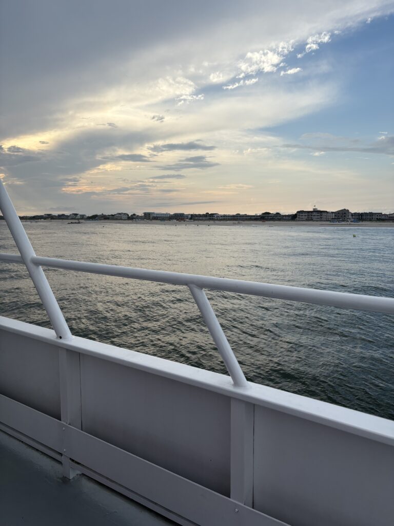 Cape May Whale Watching