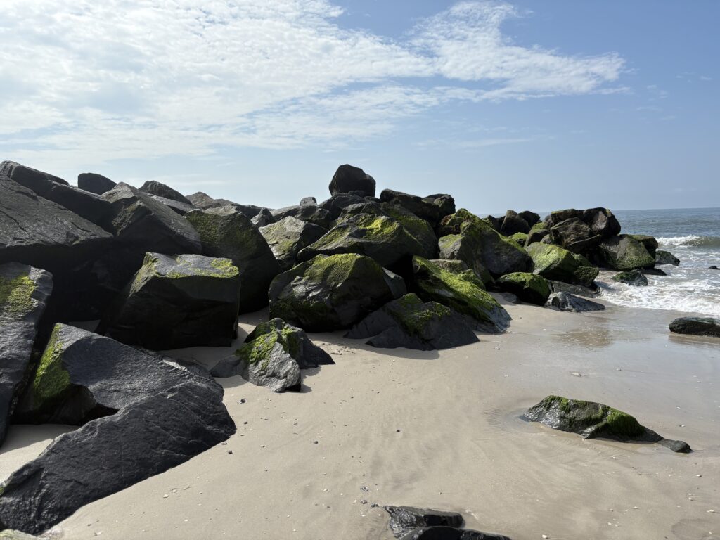 Cape May Beach