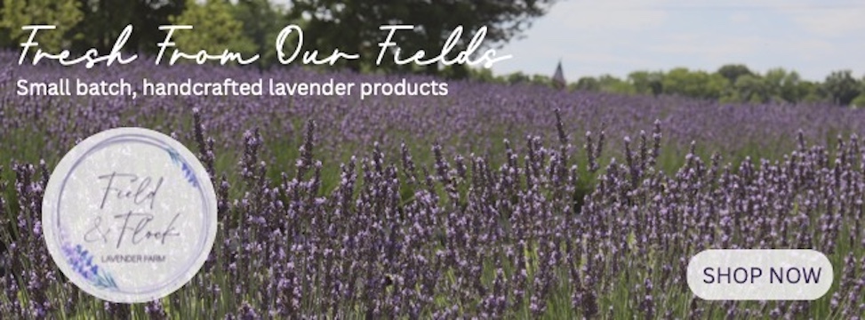 Field and Flock Lavender Farm